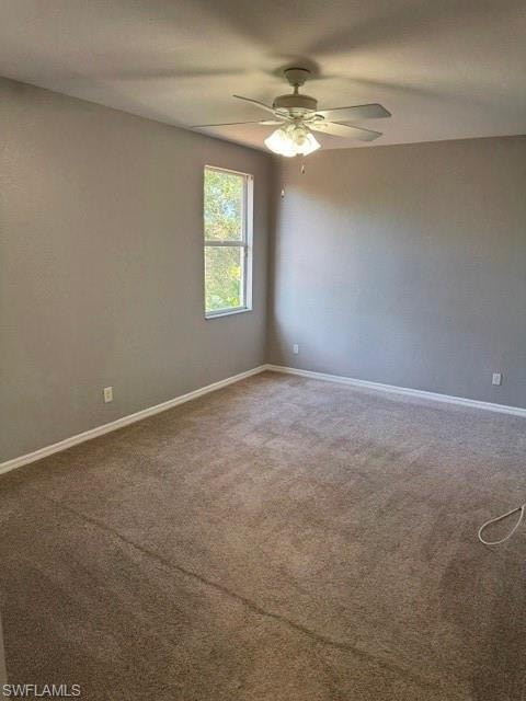 Neutral wall tones with a ceiling fan light fixture, carpet flooring, and a single window