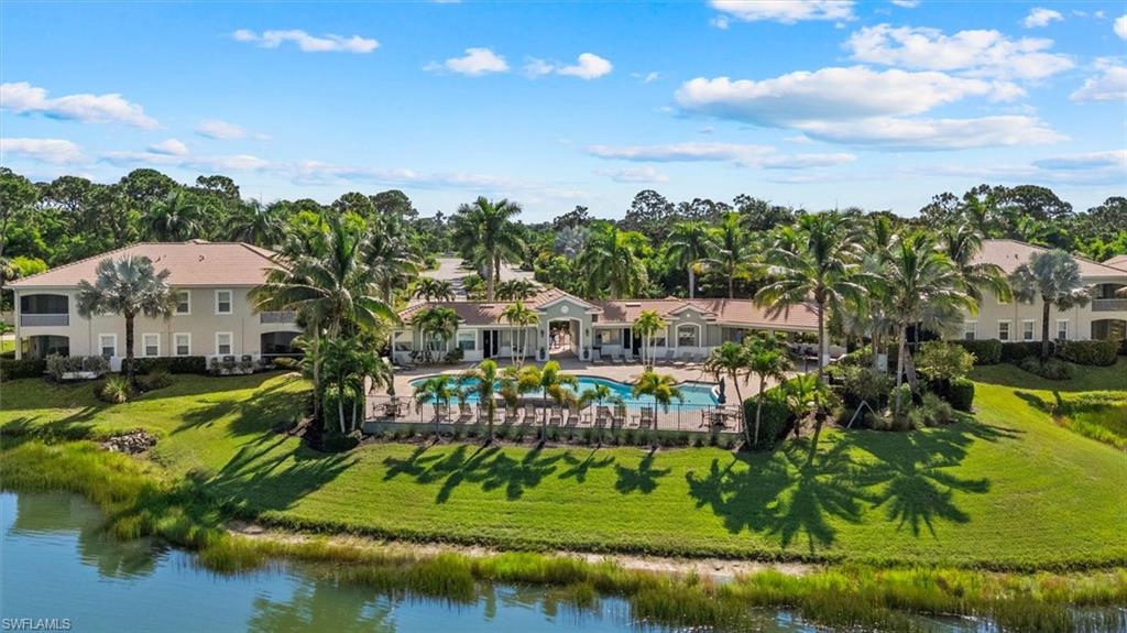 Expansive outdoor pool with integrated spa, surrounded by lounge seating and mature palm trees