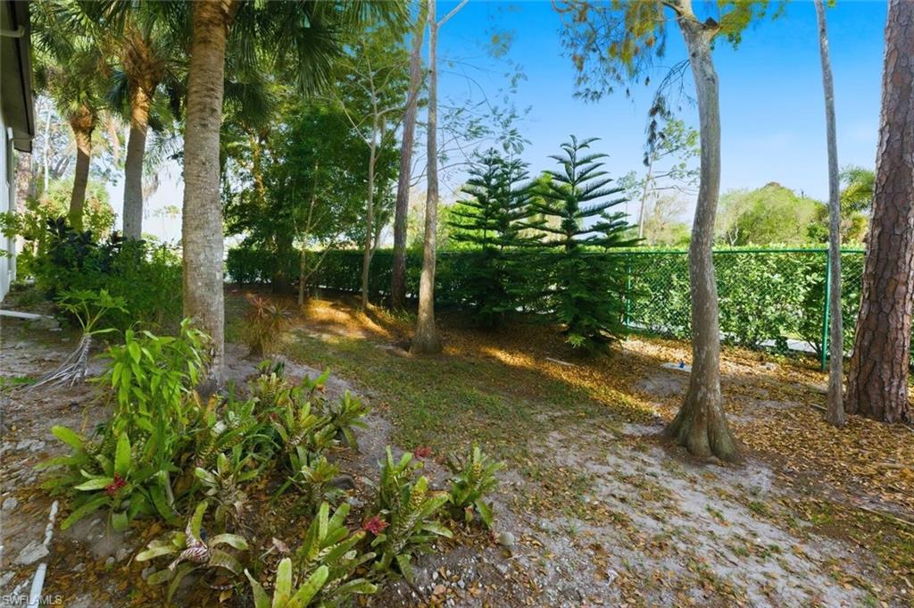Backyard beyond the patio