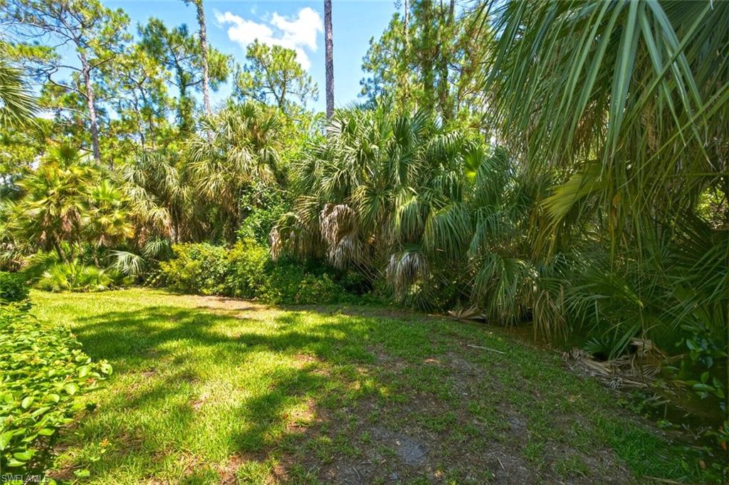 Expansive outdoor area featuring mature palm trees and lush foliage