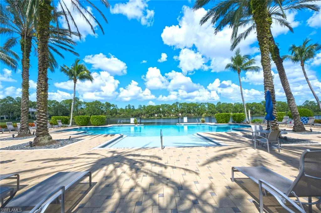 Expansive outdoor pool with integrated shallow entry, surrounded by paver decking and mature palm trees