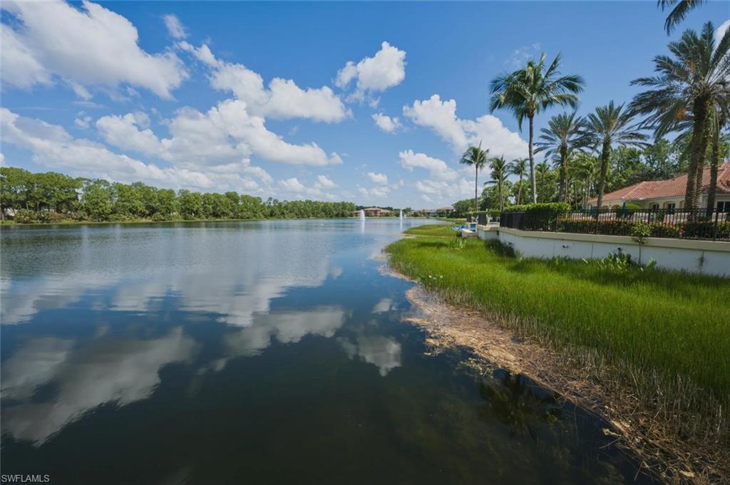 Expansive lakefront setting with lush green banks, mature palm trees, and distant residential structures