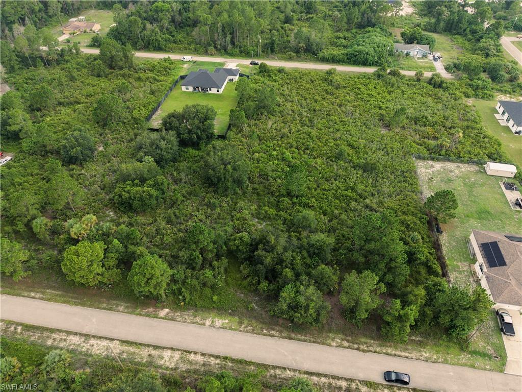 Expansive lot featuring a natural, undeveloped landscape with abundant trees, a paved road frontage, and a partially cleared section