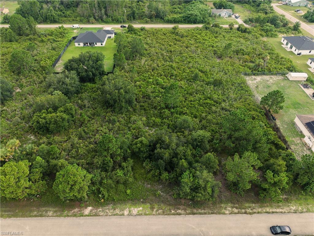 Expansive undeveloped land parcel featuring dense natural vegetation and mature trees