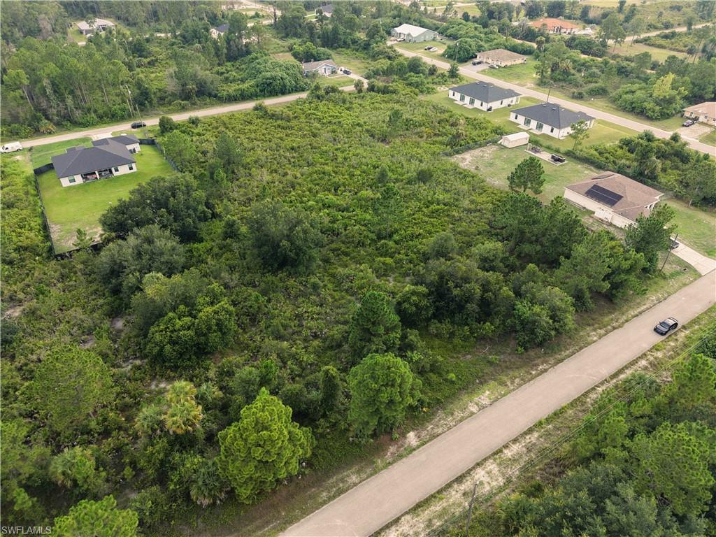 Expansive undeveloped land with abundant natural vegetation, bordered by a paved road