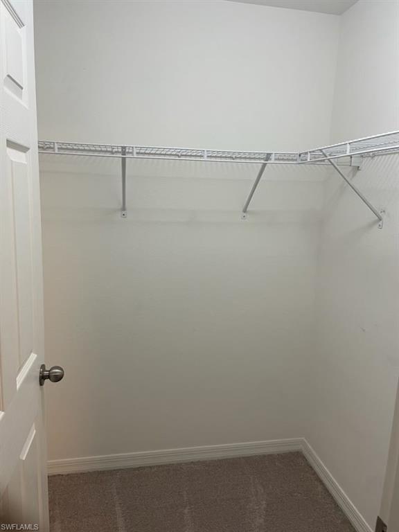 Walk-in closet with carpet flooring, white walls, and built-in wire shelving