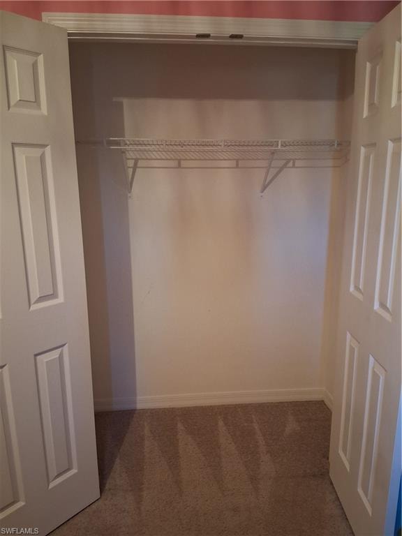 White bi-fold doors opening to a carpeted closet with a wire shelving system