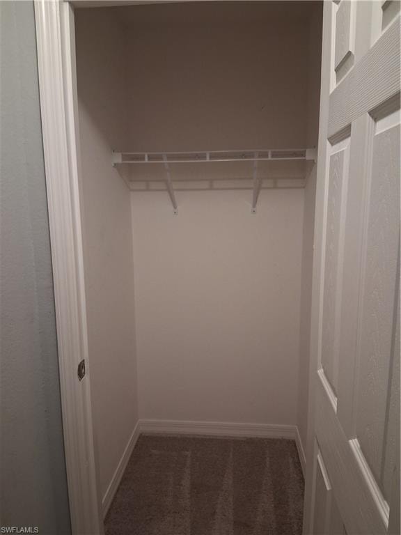 Carpeted closet with a wire shelving system and hanging rod