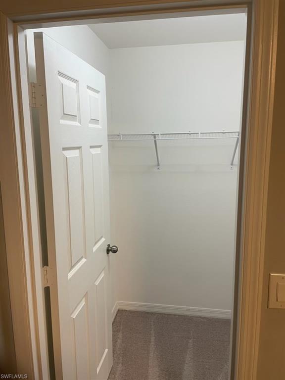 White painted interior door with dark hardware, wire shelving, and carpeting
