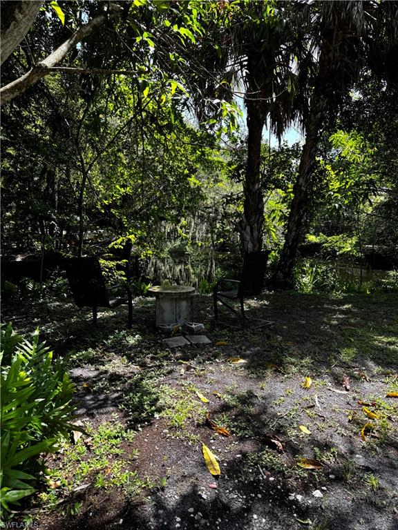 Your backyard, private and full of nature!