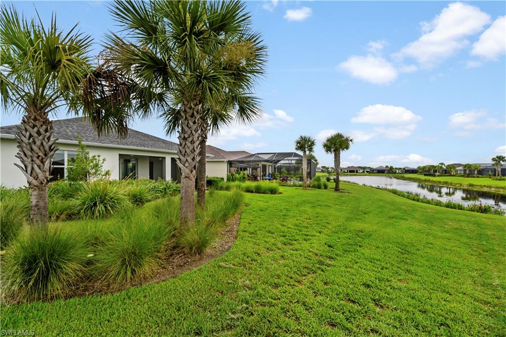 Expansive lawn with lush landscaping and mature palm trees, featuring a serene water frontage