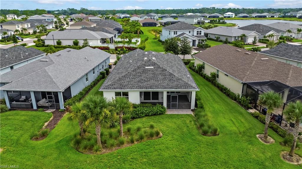 Expansive grassy yard with mature palm trees and lush landscaping
