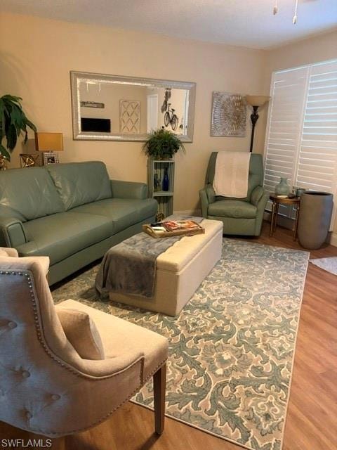 Open living area featuring wood-finish flooring and a decorative area rug