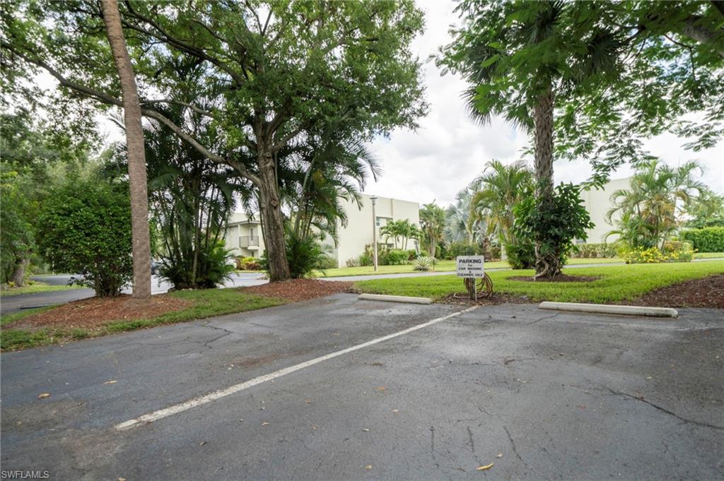 Car Wash area with painted lines, concrete parking blocks, and mature trees