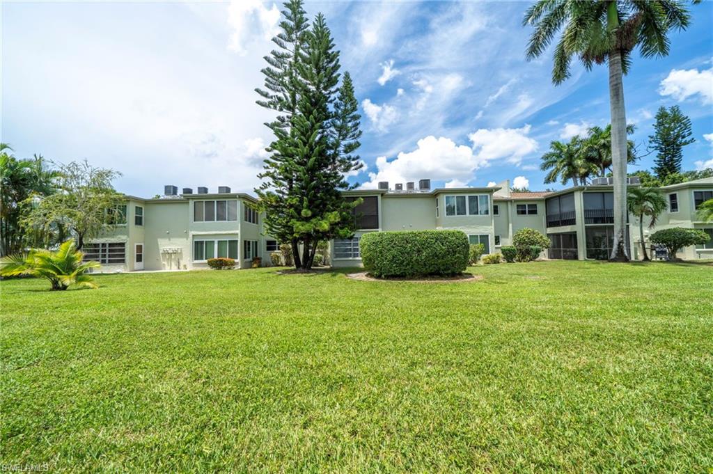 Back yard view