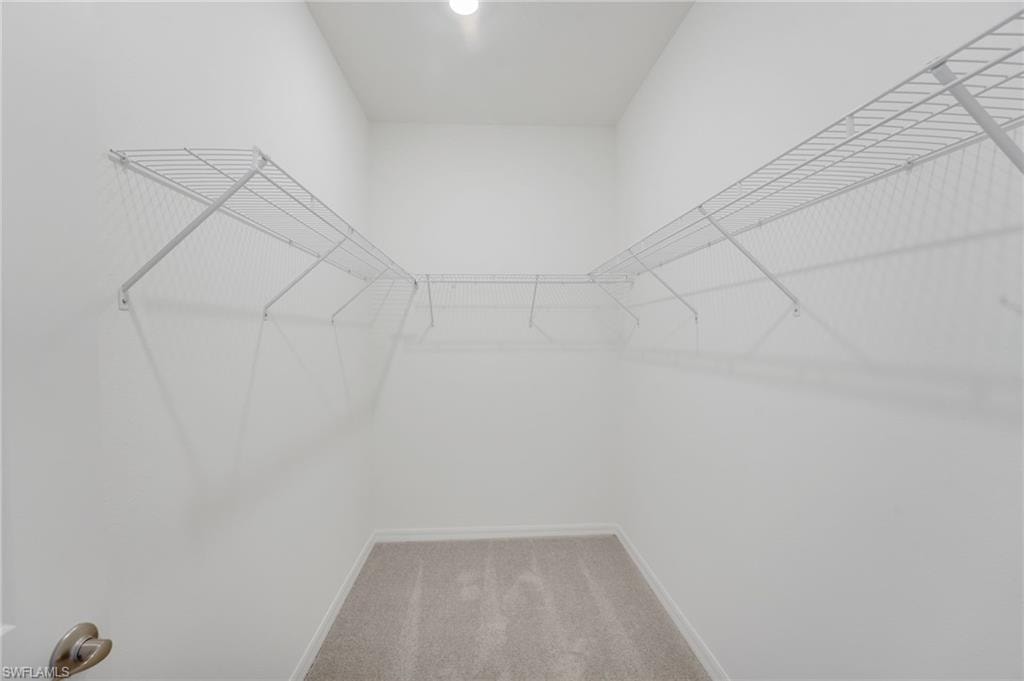 13512 Turnleaf BLVD photo 24