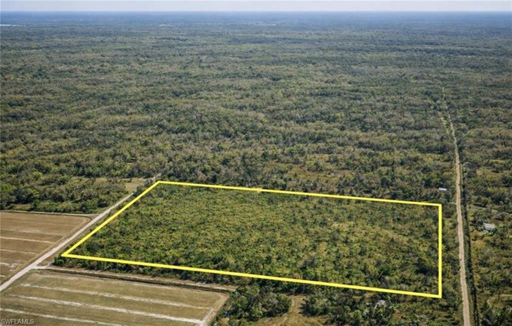 Expansive parcel featuring a dense tree canopy
