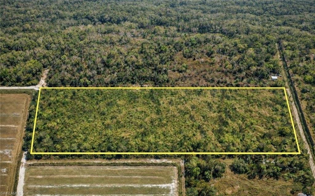 Expansive undeveloped parcel surrounded by dense tree lines, featuring natural vegetation