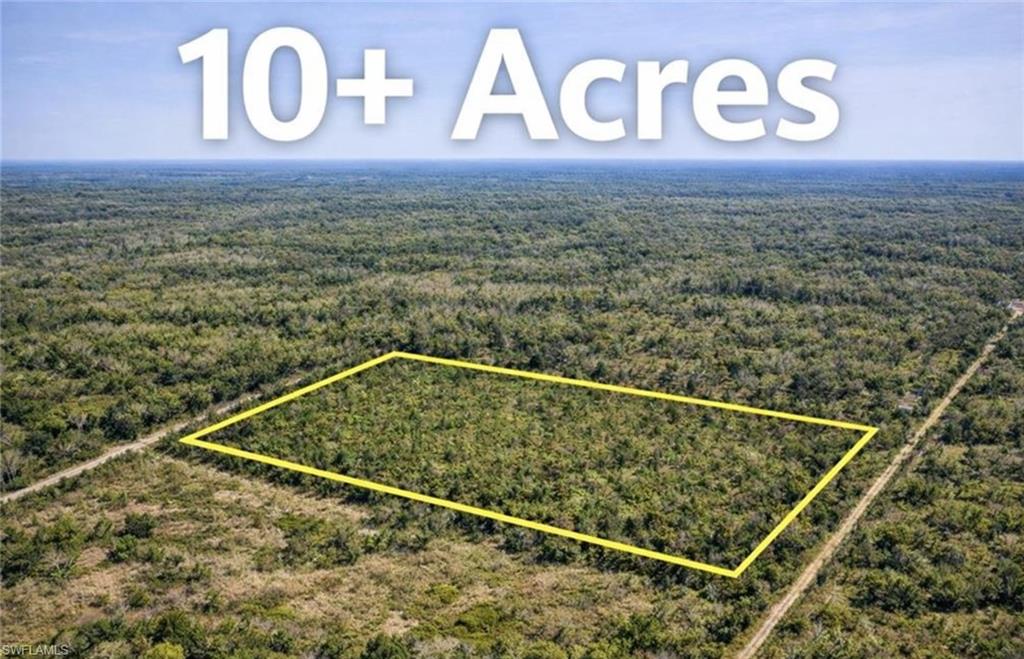 Expansive undeveloped land featuring a rectangular boundary, surrounded by dense natural foliage