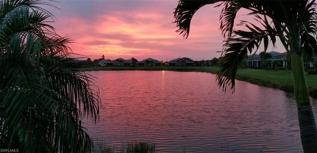 Beautiful backyard sunsets