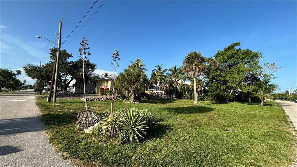 Dolphin ST