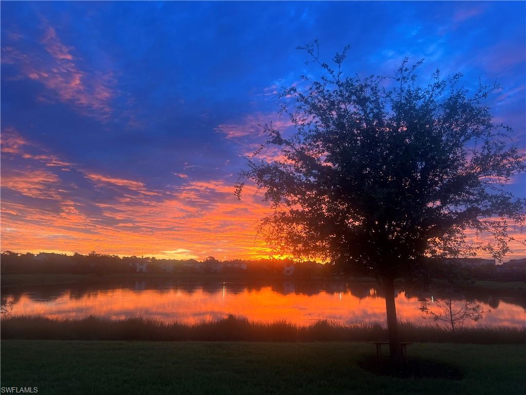Sunrise View