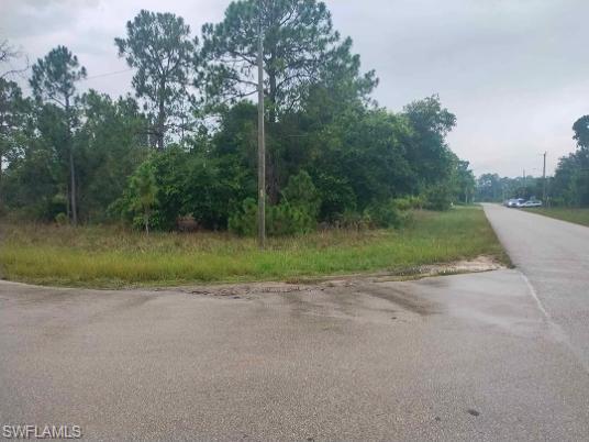 Corner lot with mature trees and natural vegetation