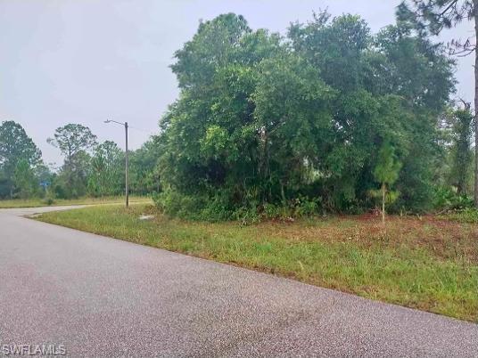 Cleared lot featuring a paved road frontage, mature trees, and natural landscaping
