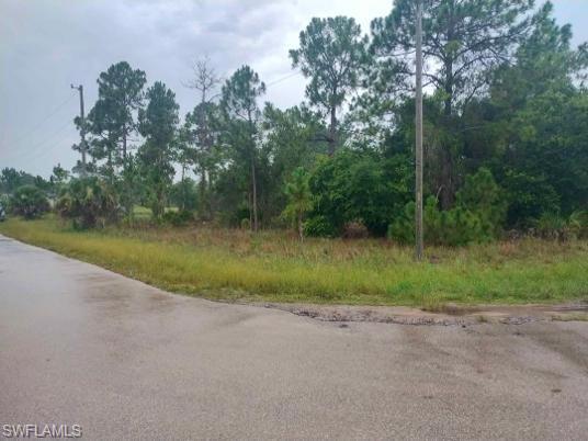 Vacant land parcel featuring mature trees, natural vegetation, and roadside access