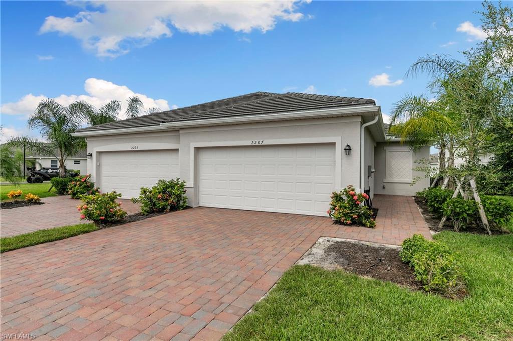 2207 Dragonfruit WAY