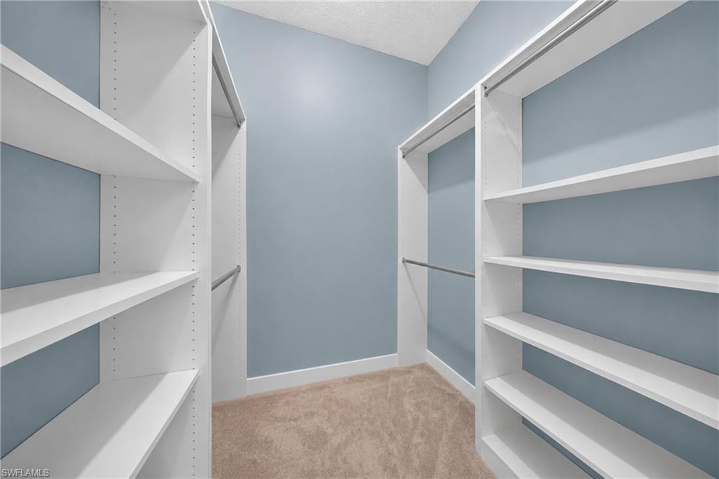 Walk-in closet featuring built-in white shelving, hanging rods, light blue wall paint, and carpet flooring