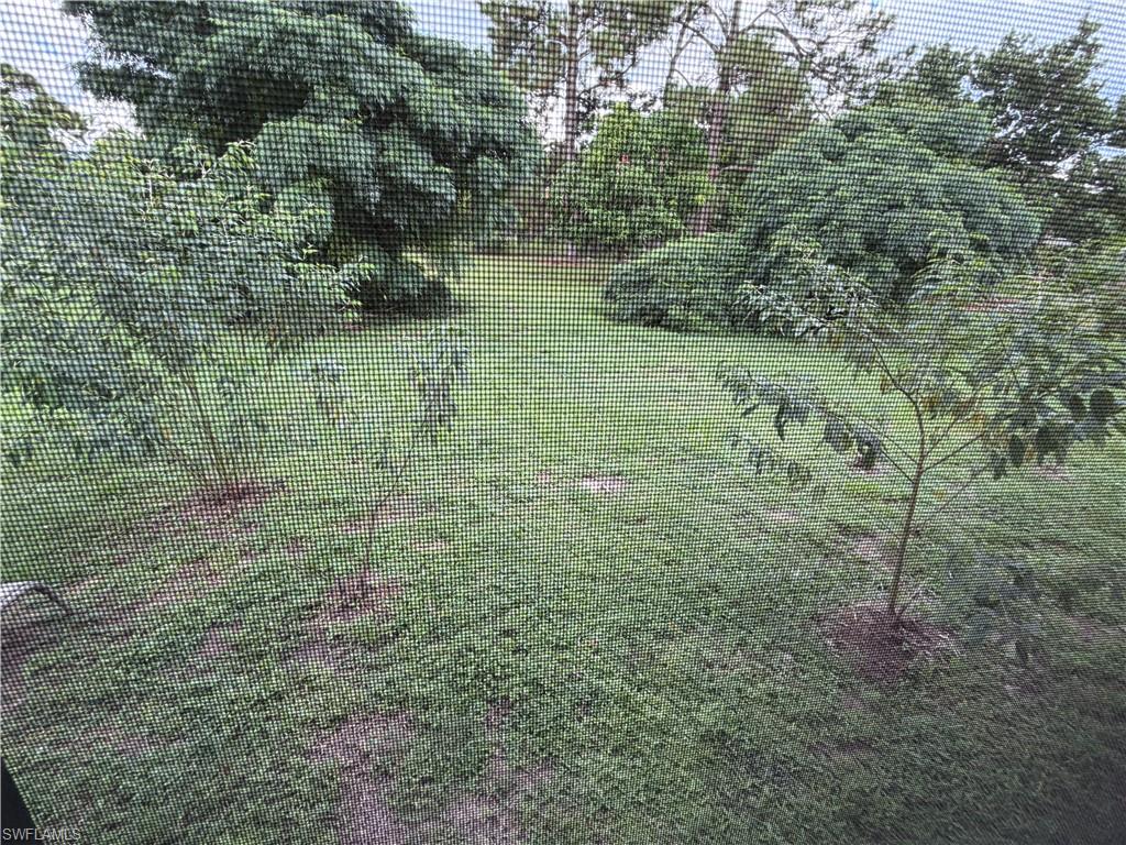 356 Delaware RD photo 22