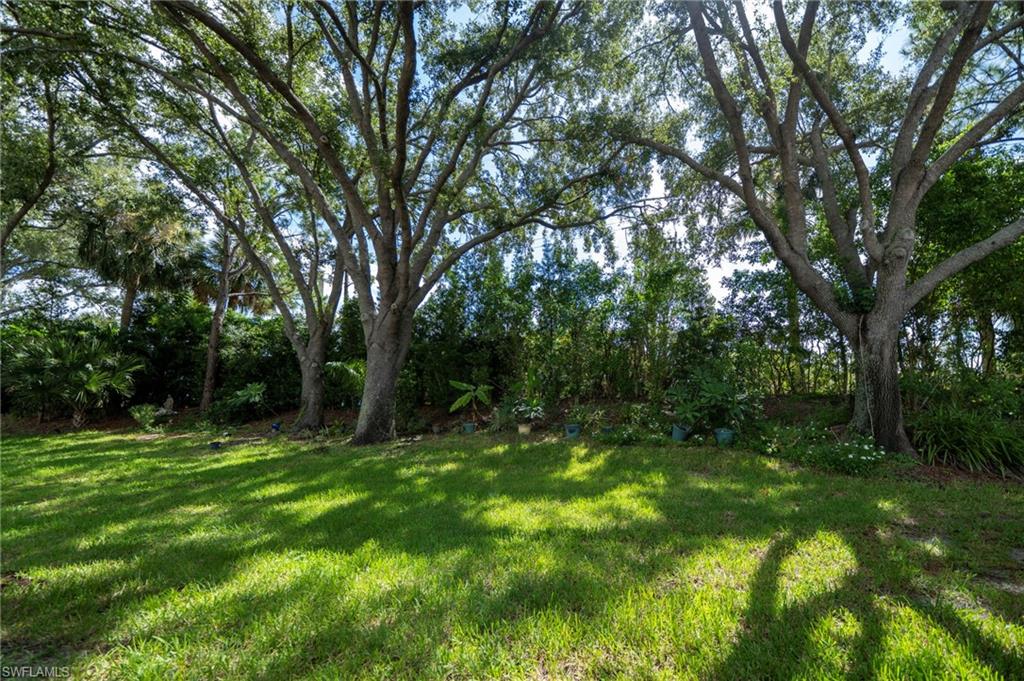 View of backyard space