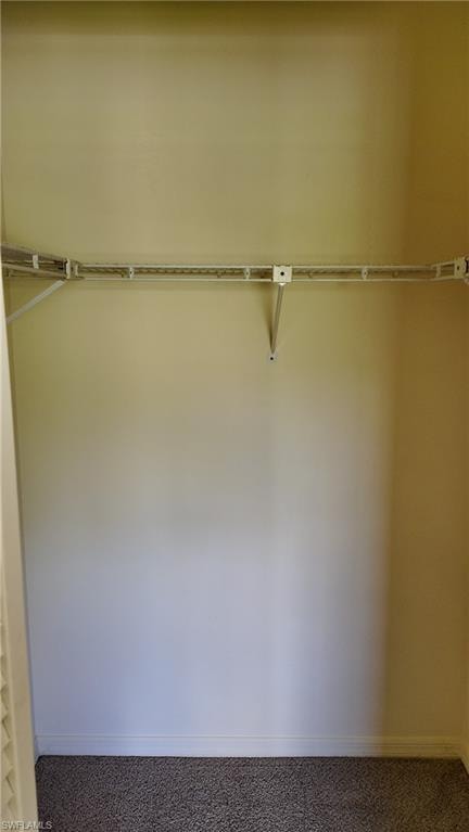 5257 Treetops DR X202 photo 16