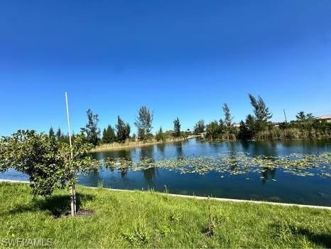 Waterfront property featuring a grassy bank, mature trees, and aquatic foliage