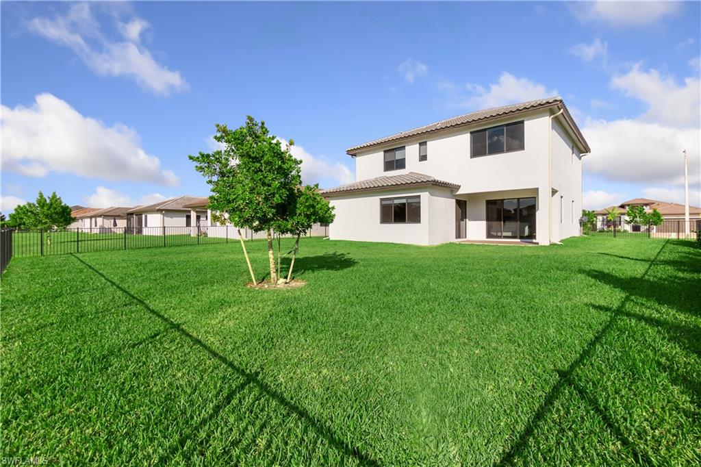 Fenced back yard