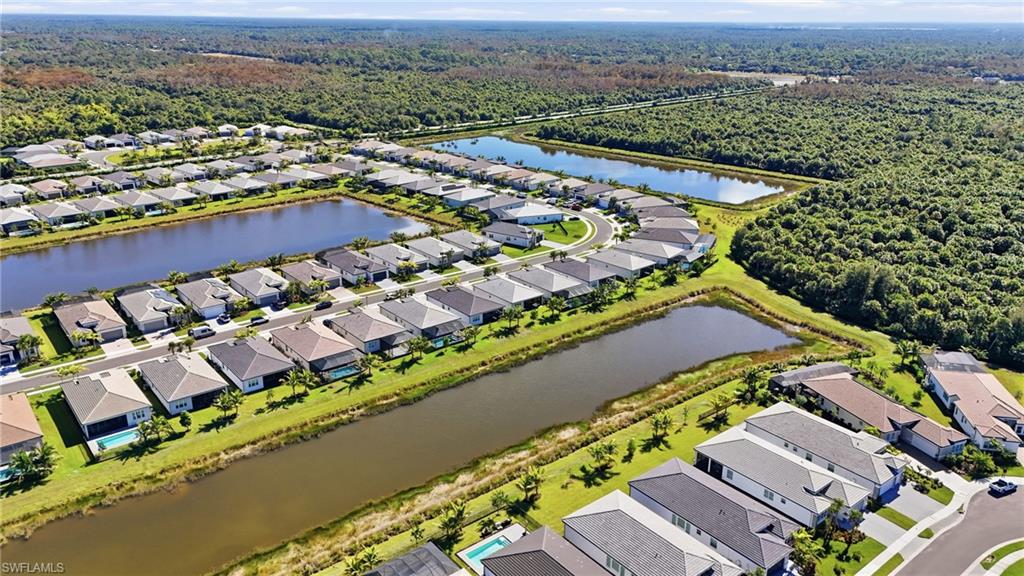 12391 Purple Ficus WAY photo 45