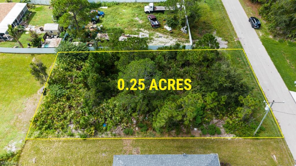 0.25 acre parcel with established trees and vegetation