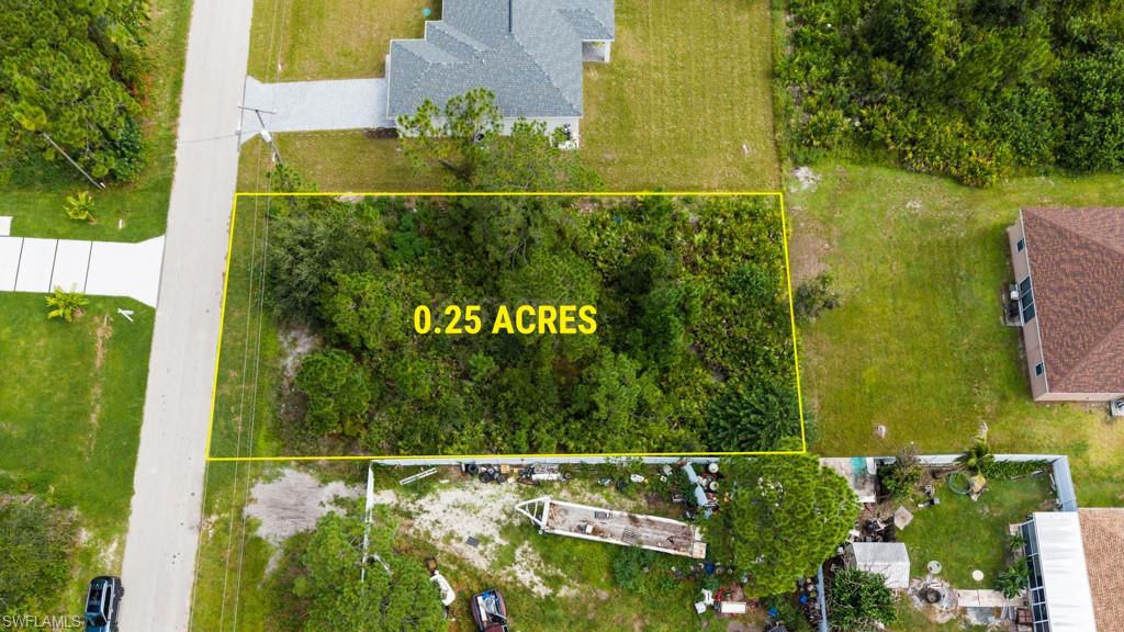 0.25 acre lot with dense natural vegetation