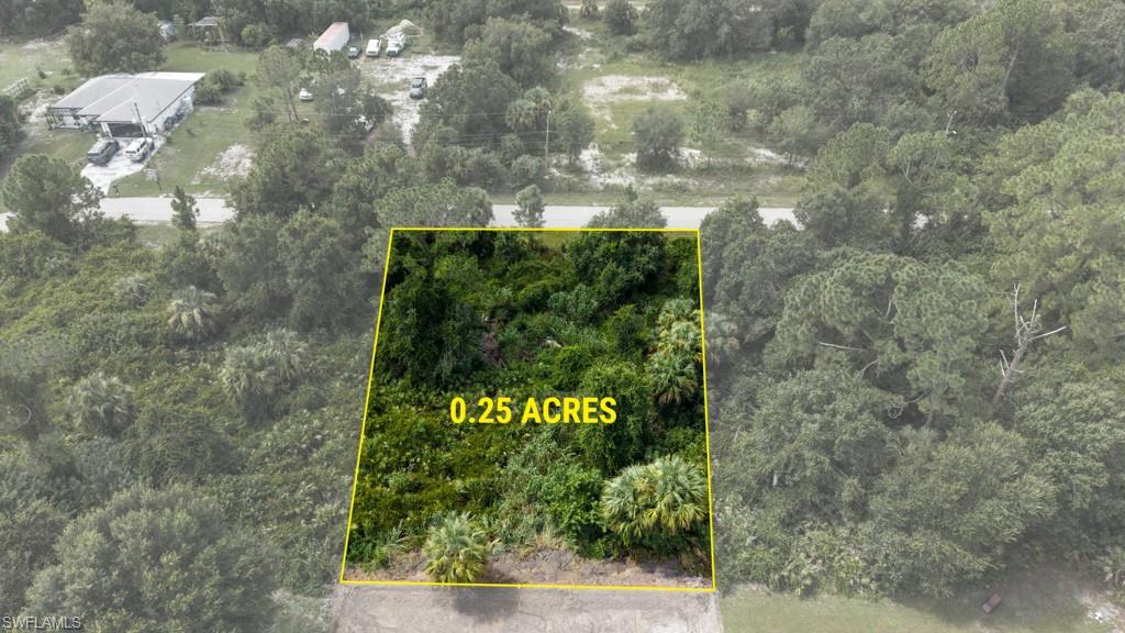 0.25-acre wooded lot featuring dense mature tree coverage and natural landscape vegetation