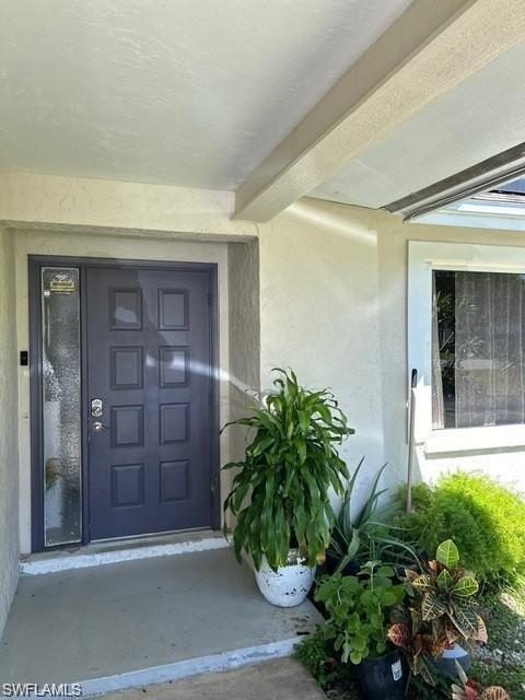Entryway featuring a dark paneled door with sidelight, concrete porch, and textured exterior walls