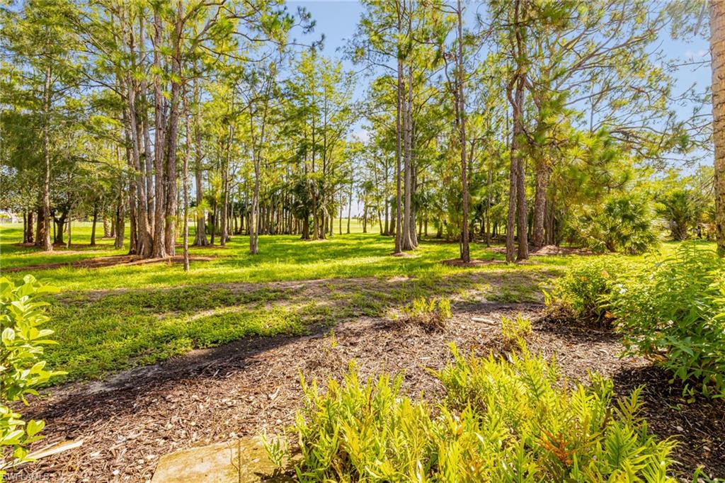 Beautiful preserve view