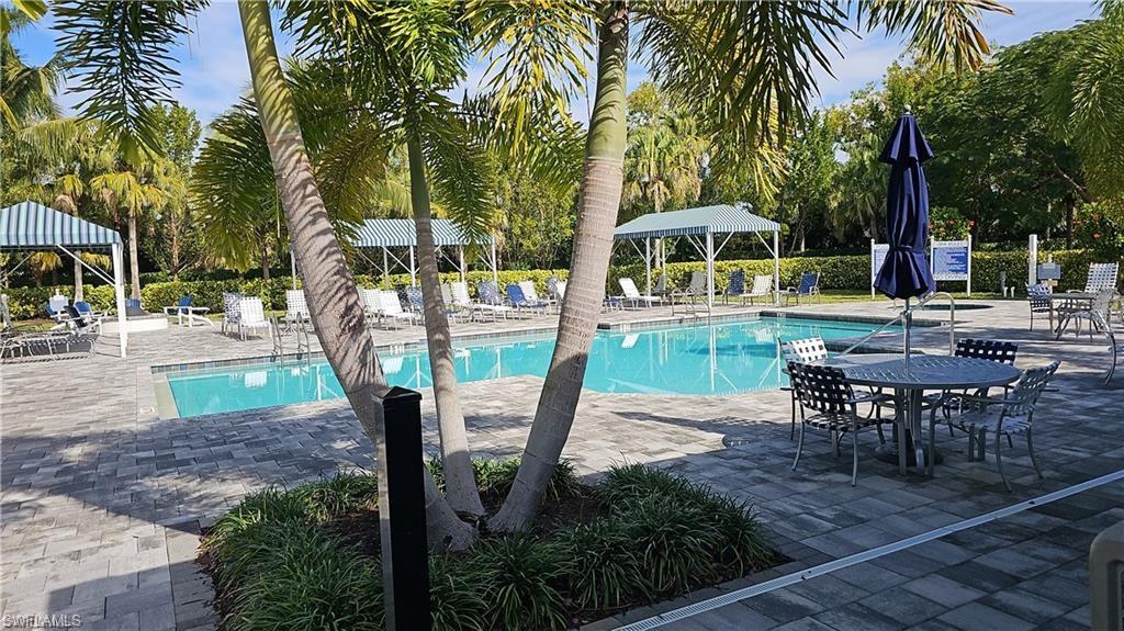 Community swimming pool with a paver deck, surrounding mature palm trees, and shaded seating areas