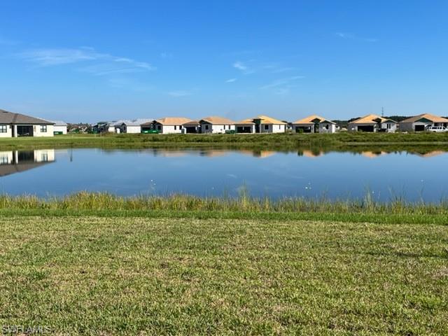 14619 Carva LN