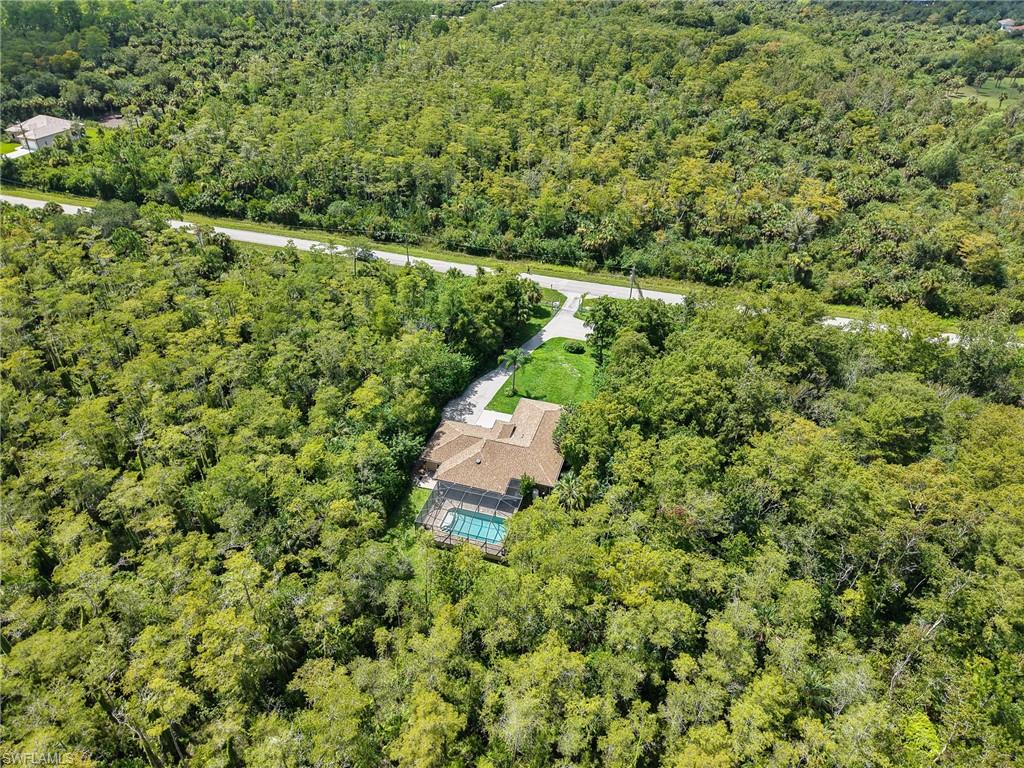 Property surrounded by dense natural landscaping