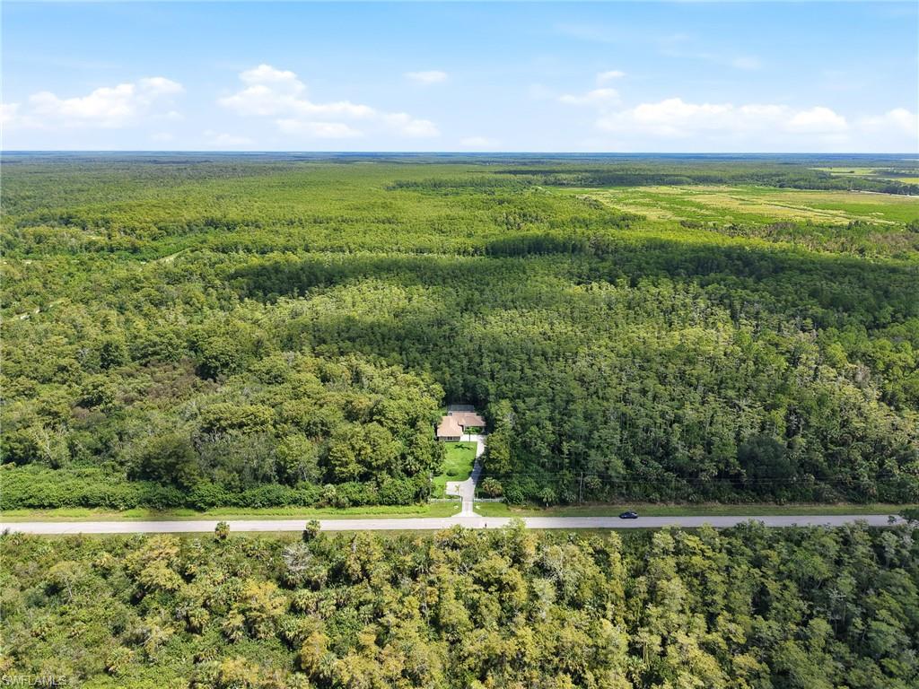 Expansive natural landscape with a residence nestled within dense tree coverage, featuring a paved driveway and a paved road