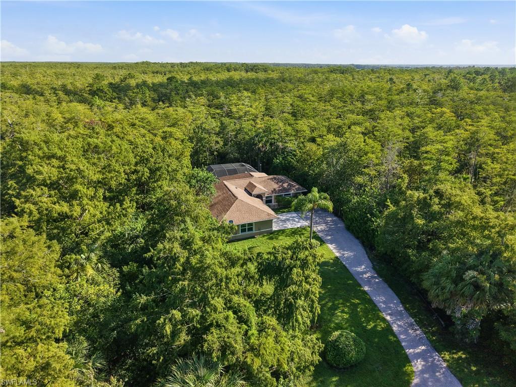 Property surrounded by dense, mature trees, featuring a long paved driveway, a structure with a hip roof, and visible solar panels
