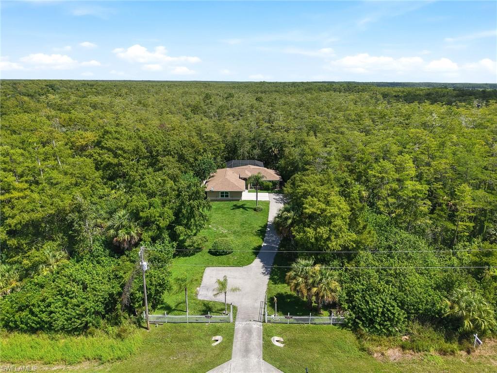 Expansive natural surroundings featuring a private driveway, gated entry, and lush foliage