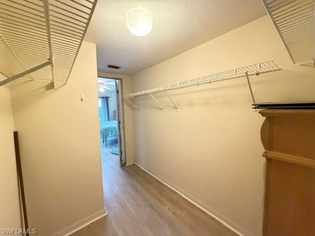 Primary closet walk in