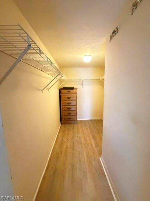 Primary closet - walk in